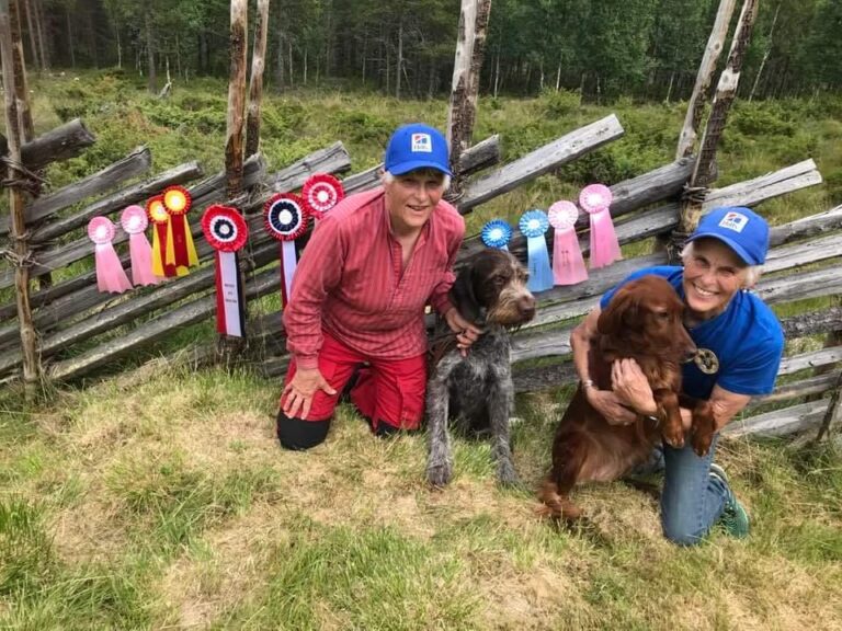 Innføring i klipp og stell av hund og utstillingstrening