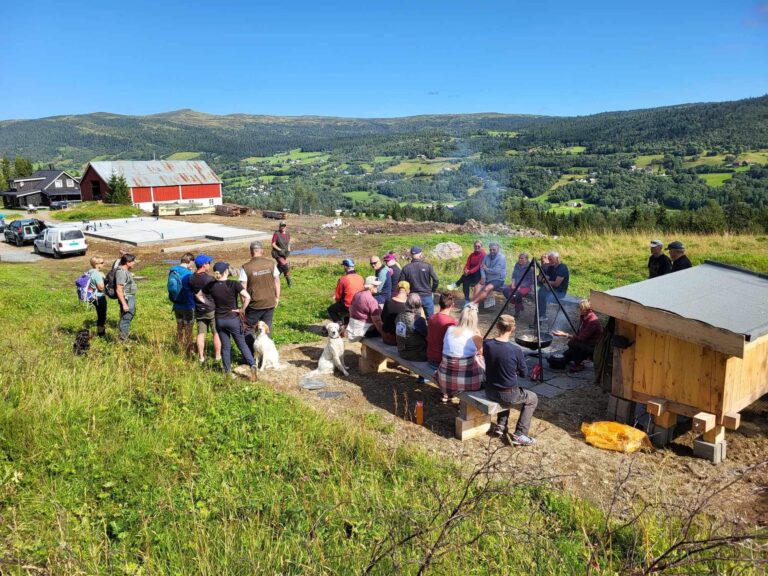 Dressurøvelser med provokasjon