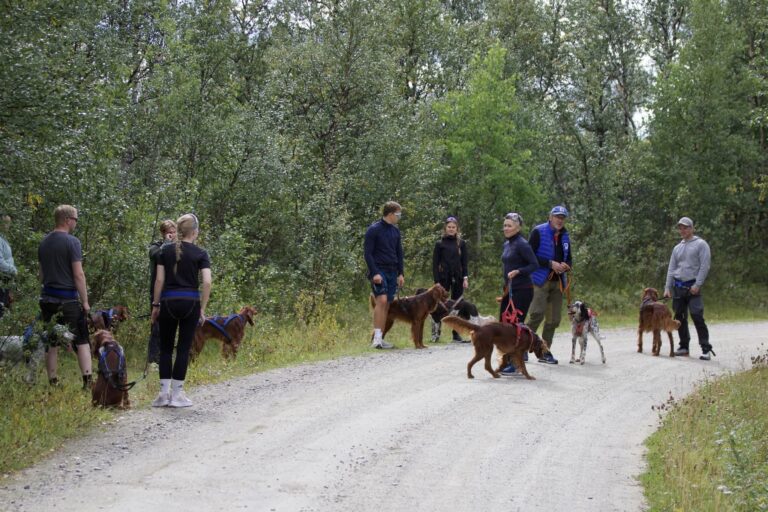 Barmarkshelg med ungdomsgruppa